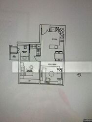 76-shenton photo thumbnail #1